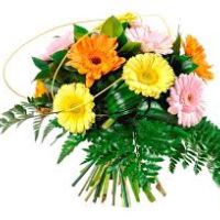 auto-entrepreneur Commercial Commercial, nimes 