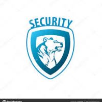 auto-entrepreneur Sécurité  Sécurité , LAVAL 53