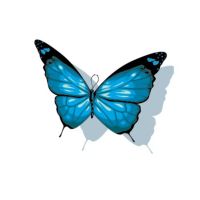 Photo de Autres services à Frejus