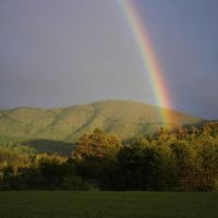 Photo de Comptable à Antananarivo Madagascar