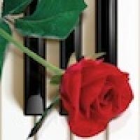 Cours de piano ou clavier tous niveaux Toulouse