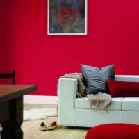 auto-entrepreneur Peintre Peintre, ST PIERRE 