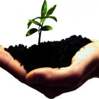 auto-entrepreneur Développeur Développeur, GRENOBLE 