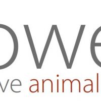 auto-entrepreneur Femme de ménage Femme de ménage, BOISSY MAUVOISIN 