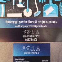 auto-entrepreneur Agent d'entretien Agent d'entretien, st laurent du var 