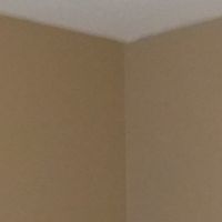 Peintre  ST LEGER LES VIGNES