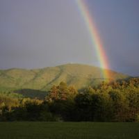 Photo de Comptable à Antananarivo