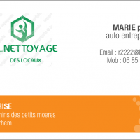 auto-entrepreneur Agent d'entretien Agent d'entretien, warhem 