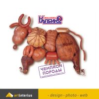 Photo de Graphiste à Navarrenx