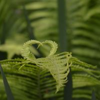 Photo de Jardinage à Paris