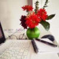 Photo de Secrétaire à Saint Julien Du Pinet