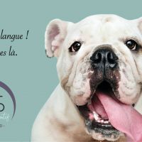 auto-entrepreneur Comptable Comptable, PORTO VECCHIO