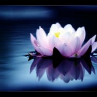 auto-entrepreneur Secrétaire Secrétaire, Île de France