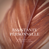 auto-entrepreneur Secrétaire Secrétaire, Le Havre 