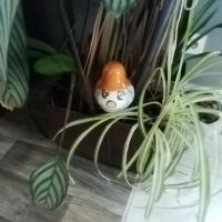 Photo de Commercial à La Merlatiere