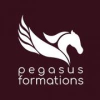 auto-entrepreneur Commercial Commercial, BAR LE DUC 