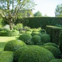 Photo de Jardinage à La Garde Freinet