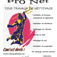 auto-entrepreneur Agent d'entretien Agent d'entretien, BAYONNE 