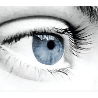 Photo de Agent d'entretien à Paris