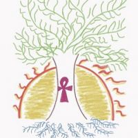 auto-entrepreneur Bien-être Bien-être, Saint Malo 