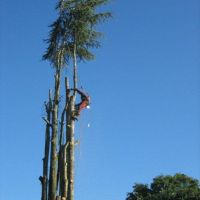 Photo de Formateur à Nantes