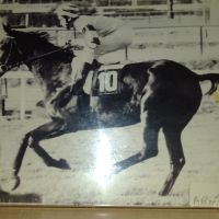Photo de Chauffeur-livreur à Landelies / Montigny-le-tilleul- Belgique