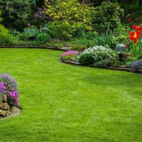 JARDINAGE  BRICOLAGE  AUTRES SERVICES a la demande CHELLES