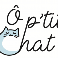 auto-entrepreneur Femme de ménage Femme de ménage, poitiers 