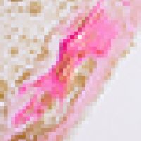 auto-entrepreneur Peintre Peintre, ANNECY 