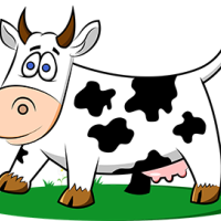 Photo de Développeur à Deville Les Rouen