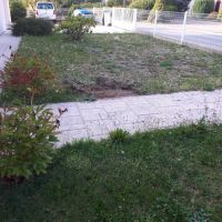 Photo de Jardinage à Aumontzey