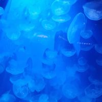 Secrétaire independante  NOVES