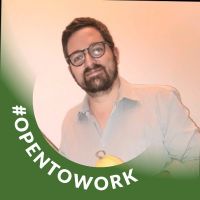 auto-entrepreneur Consultant Consultant, MANTES LA JOLIE 