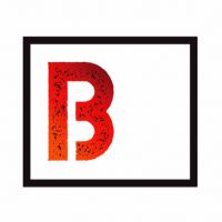 auto-entrepreneur Agent d'entretien Agent d'entretien, Mâcon  