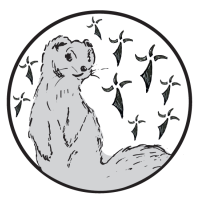 Photo de Graphiste à Monteneuf