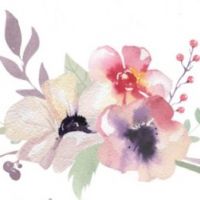 auto-entrepreneur Médias - Spectacle  Médias - Spectacle , Levallois-Perret 