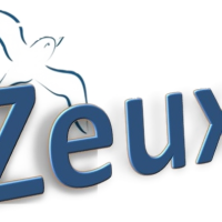 Photo de Consultant informatique à Saint Philippe