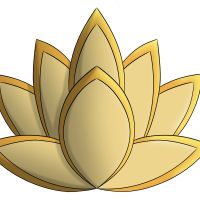 Photo de Webmaster à St Romain La Motte