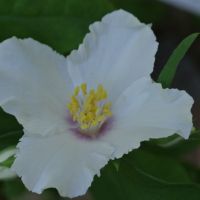 auto-entrepreneur Agent d'entretien Agent d'entretien, ST DENIS 