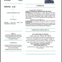 auto-entrepreneur Commercial Commercial, DIJON 