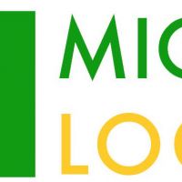 auto-entrepreneur Consultant informatique Consultant informatique, VIENNE 