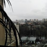 auto-entrepreneur Services aux entreprises  Services aux entreprises , Créteil  