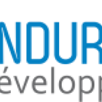 Photo de Webmaster à Courcome