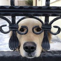 Photo de Chauffeur-livreur à Fougeres