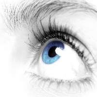 auto-entrepreneur Autres services Autres services, LYON 