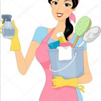 auto-entrepreneur Femme de ménage Femme de ménage, Armentieres  