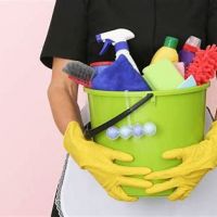 auto-entrepreneur Femme de ménage Femme de ménage, FEIGERES