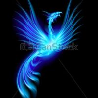 Photo de Marketing à Lavelanet