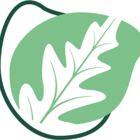 auto-entrepreneur Webmaster Webmaster, MILIZAC 