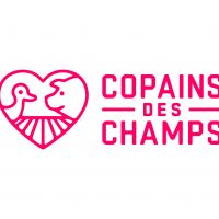 auto-entrepreneur Chauffeur-livreur Chauffeur-livreur, eysines 